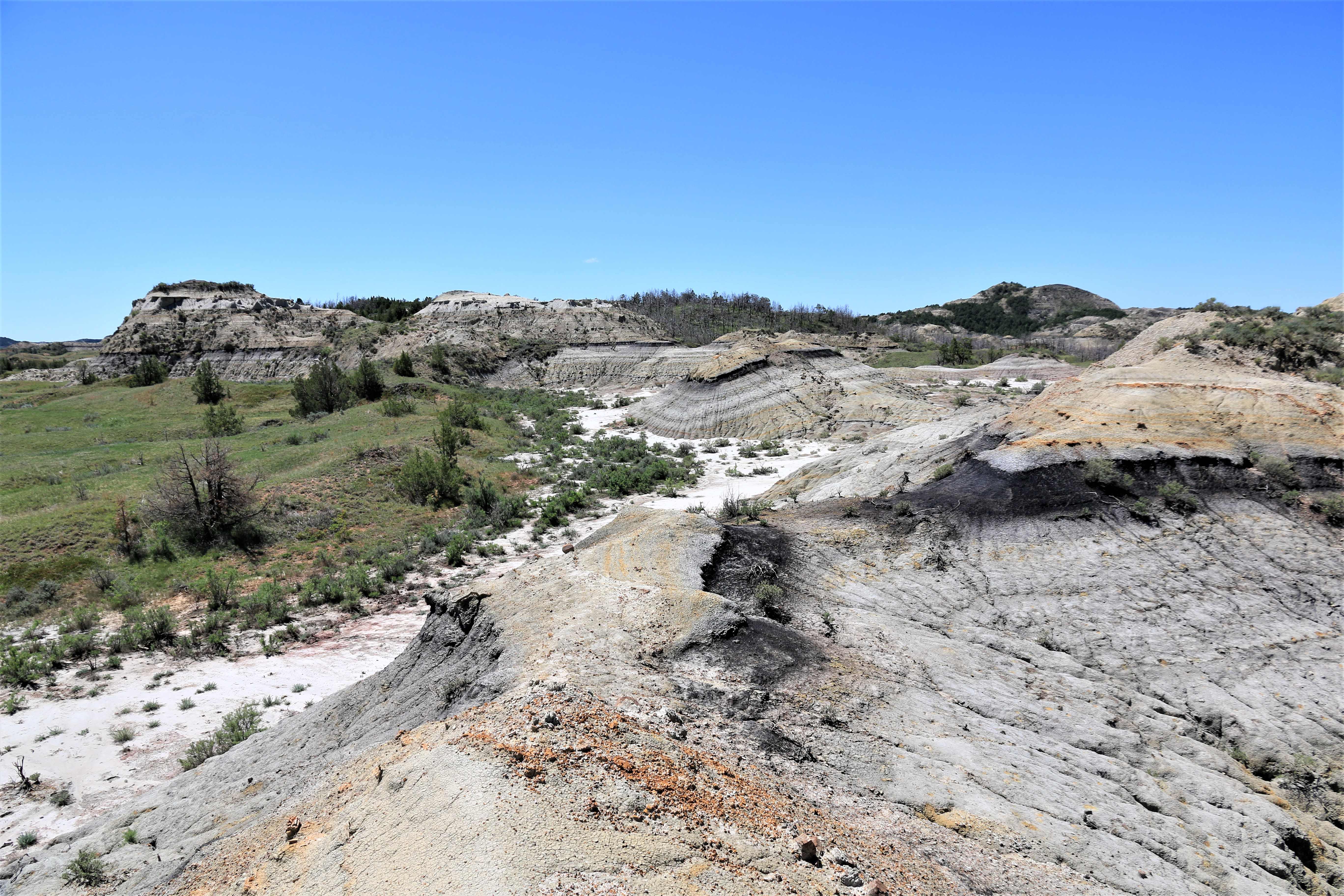 Theodore Roosevelt NP